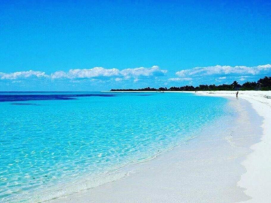Les Pieds Dans L'Eau Chez Syl Daire Le Moule Dış mekan fotoğraf