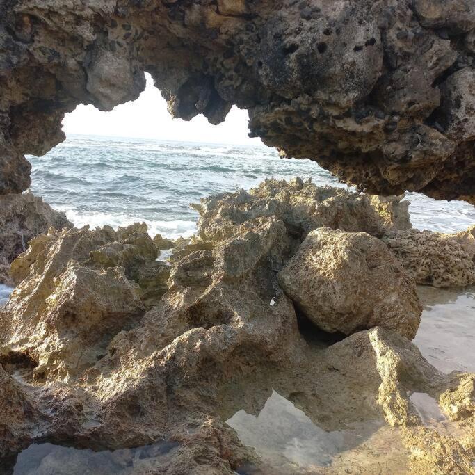 Les Pieds Dans L'Eau Chez Syl Daire Le Moule Dış mekan fotoğraf