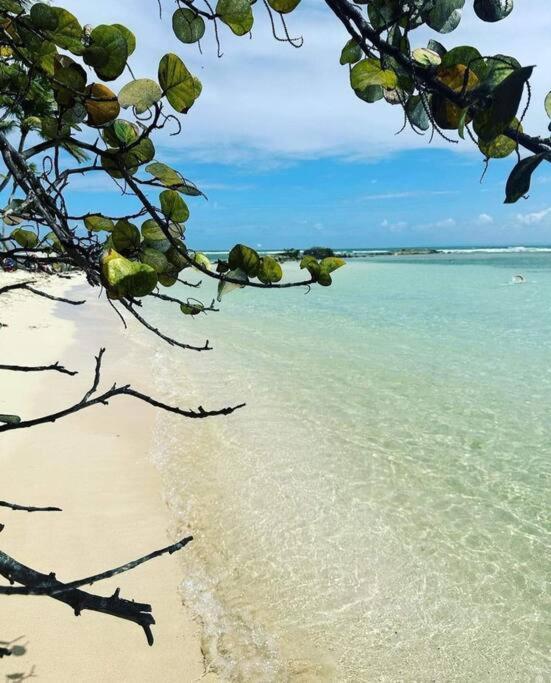 Les Pieds Dans L'Eau Chez Syl Daire Le Moule Dış mekan fotoğraf