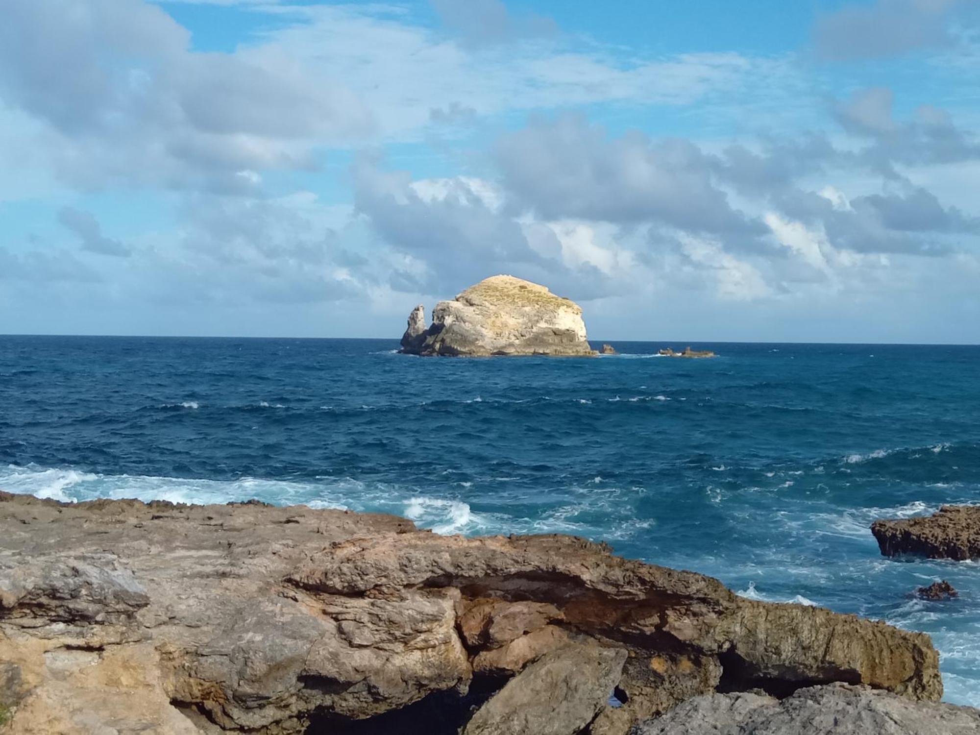 Les Pieds Dans L'Eau Chez Syl Daire Le Moule Dış mekan fotoğraf